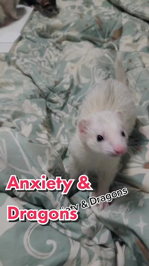 Weaponized Ferret Stickers available in our shop along with a Whatget sticker!