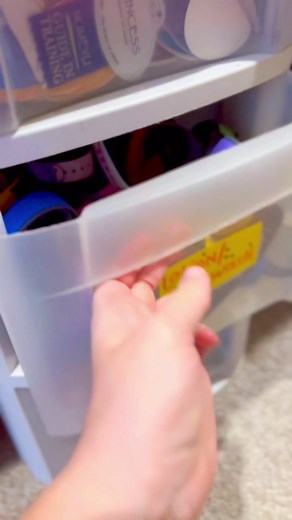DIY Magic Band Storage Ideas: Colorful and Functional Solution Under $30!