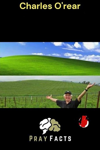 Capturing Bliss: The Man Behind Windows XP's Iconic Wallpaper 📷🌄 #facts #amazing #viral #shorts