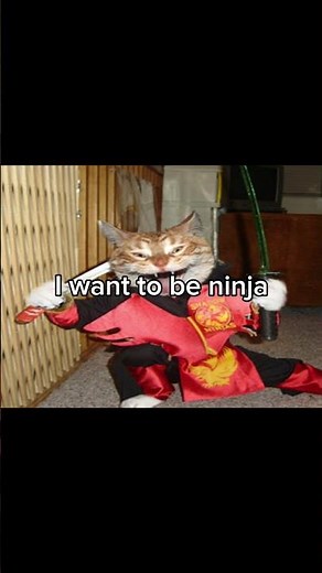 I want to be ninja meme