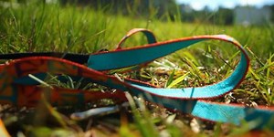 3 on Your Side Investigates: Leash Laws