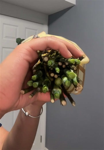 Order Beautiful Flowers for Your Loved Ones