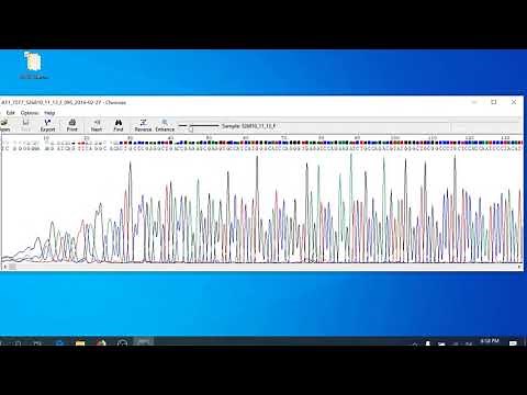 Sequence Analysis Protocol - Assess Sequence Quality - Chromas PC