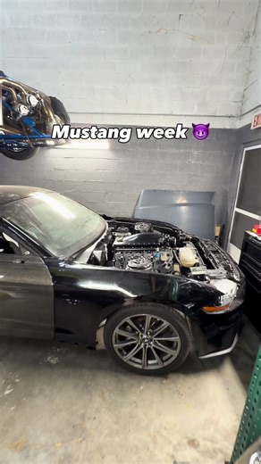 Mustang Week Highlights: Drag Racing and More!