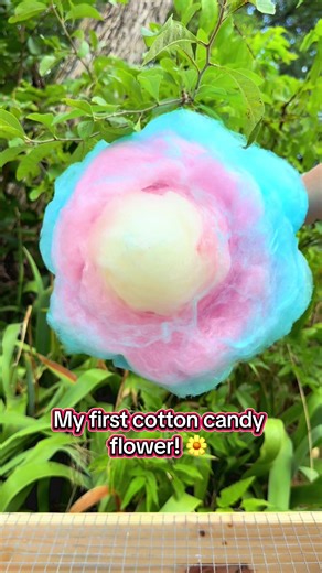 🍭Cotton Candy flowers, coming to the menu soon! These are currently being made with store bought cotton candy sugars with food dyes but I’m work shopping my flavors to have natural food coloring so I can use them for the flowers. Stay tuned 😇🍭 #cottoncandy #candyfloss #sweettreats #dfweats #dfwfoodie #dfwvendors #dfwevents #dfwsmallbusiness #dfwmarkets #texasfoodie #texassweets #sweettooth #carnivaltreats #fyp #smallbusinesscheck #supportlocaldfw #willitcottoncandy #spunwild #mckinney #mckinn