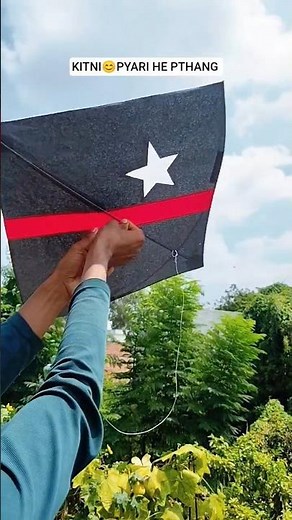 Kite flying short #kite Manza short video varal