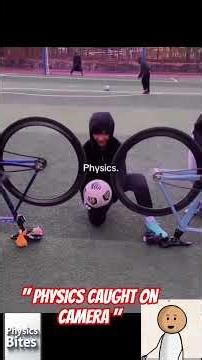 Physics in Action: How Heat, Force, and Motion Shape Everyday Life