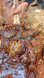 1M views · 9.5K reactions | The process of finding gold | finding gold in bedrock fragments | finding gold nuggets worth $2500 amazing ‼️ #goldhunter #golddiscovery #lookingforgold #goldrush #goldnugget #goldhunter #goldadventure | Adis Gold Hunter | Facebook