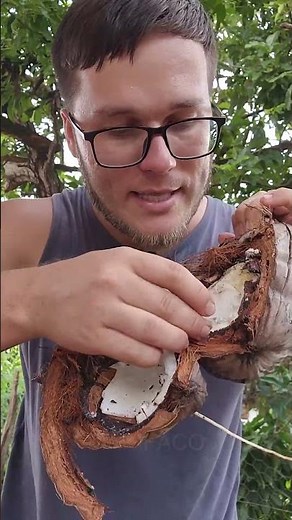 Do you know the coconut apple;; Best futa ever!