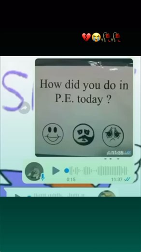 Memes on Instagram: "Real Physical education classes are designed to teach students more than just sports—they build lifelong habits around movement, health, and teamwork. Through activities like running, games, fitness drills, and coordination exercises, students learn how their bodies work and why staying active matters. PE also focuses on fundamentals like endurance, strength, flexibility, and motor skills, helping students develop confidence in physical movement. Beyond fitness, it encourage