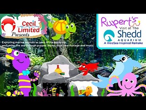 Rupert's Visit at the Shedd Aquarium - A WeeSea Inspired Remake (2025)