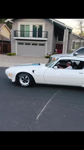 1971 Trans Am: A Journey Through 28 Years Together