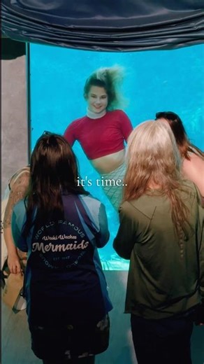 The world-famous Weeki Wachee mermaids are splashing into the holidays with all the festive vibes!