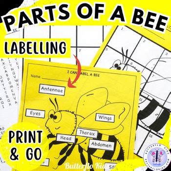 Parts of a Bee Labeling Cut and Paste Craft Bee Science Activities