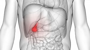Gallbladder disease and Treatment