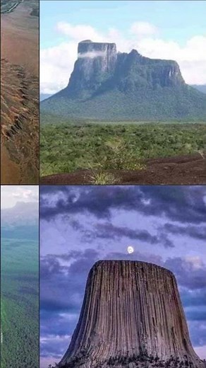 MOUNTAINS ARE PETRIFIED GIANT TREE STUMPS