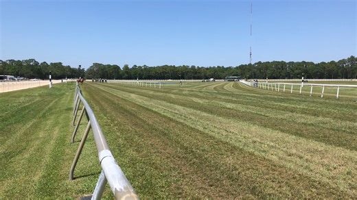 3.1K views · 42 reactions | No. 1 Stormy Victory draws away late to win the fifth race, the DiBello Racing - C&L Value Advisors Purse, under apprentice jockey Melissa Iorio. The 5-year-old mare is owned by Dennis G. Smith and trained by Rohan Crichton. | Tampa Bay Downs, Inc. | Facebook