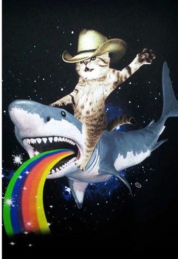 ~~ SKY AND MICHAEL SCP!! Sorry this isn’t as long as the other ones But I could find like none videos 😭 but enjoy || rq by @i s a 𐙚 #fyp #fypシ #blowup #roleplay #skyandmichael