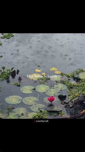 Manwa Laage 🤍✨ | Aesthetic Lyrics Video#shorts #ytshorts #song #lyrics