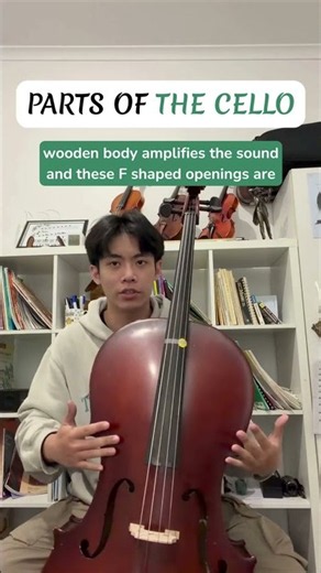 Ever wondered what makes a cello sound so rich and beautiful? 🎻