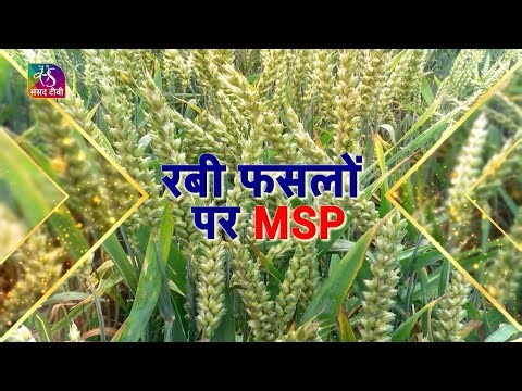 Insight: रबी फसलों पर MSP | 06 October, 2025