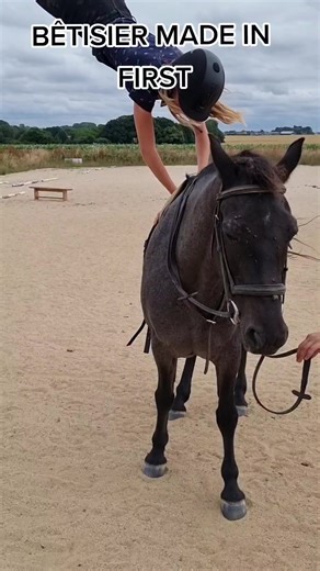 Chutes de Cheval et Humour : Moments Drôles et Étonnants