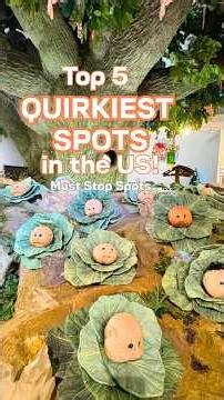 5 of the Weirdest Places in the USA 🤯🇺🇸