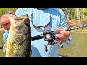 3 Month Review: Lew's Custom Lite Rod Review