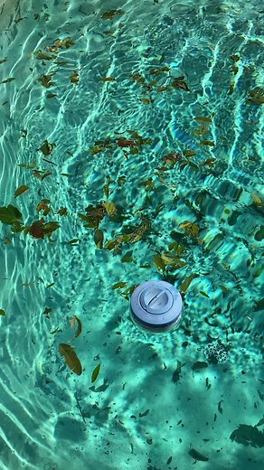 Super Dirty Pools: Cleaning Tips for Windy Days