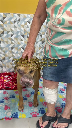 Ajude hoje 🐶💛 #voaurea