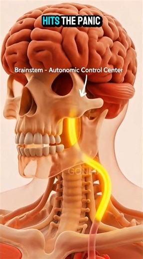 Stop Straining on the Toilet—It Can Trigger a Heart “Reset” #shorts #health #science