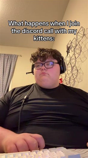 Join the Fun: Discord Call with Adorable Kittens