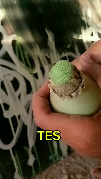 Cara Membuat Mop Graffiti Dari Botol Bekas