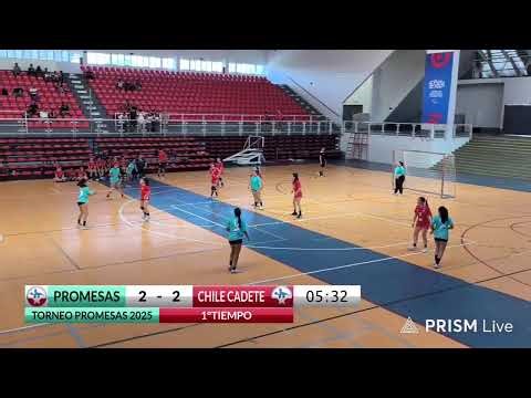 Transmisión en directo de Handball Channel