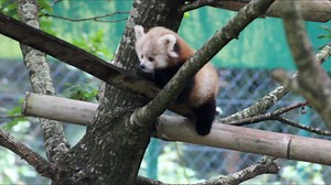 23K views · 897 reactions | ***Today we were delighted to announce...