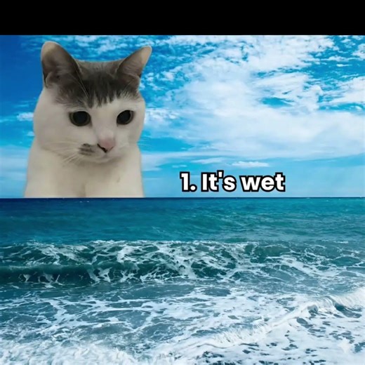 5 interesting facts about the ocean