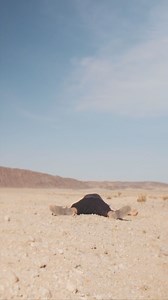 💎 Coal Makes Diamonds, the lead off track from our 2016 album, Home... | Blue October