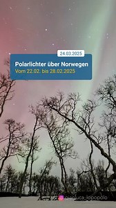 Magische Nächte über Norwegen! 💫 Zwischen dem 22. und 28. Februar 2025 tanzten atemberaubende Polarlichter über den Himmel – ein Spektakel der Natur! ✨💚 Wer hätte Lust, das einmal live zu erleben? 😍 📍: Norwegen 🎥: Gianluca Lopopolo #Polarlichter #AuroraBorealis #Norwegen #Naturwunder #Himmelszauber #WetterOnline | WetterOnline Austria