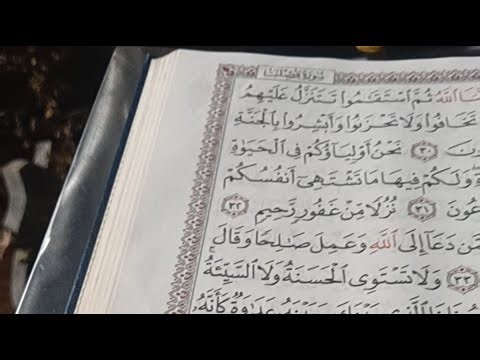 ​| Islamic Garden​| ഇസ്‌ലാമിക ചരിത്രങ്ങൾ