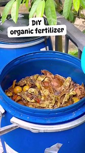 simple way for. organic fertilizer using fruits and vegetables peel, food waste, molasses, water. regular mixing and ready to use 2-3 weeks composting #Composting #organicfertilizer #preparation #tips #DIY #Canaan #gardeningtips #explore #foryouシ #facebookviral #fbreelsfypシ゚ #reelsvideoシ | Canaan All in One Fertilizer Original Direct Supplier