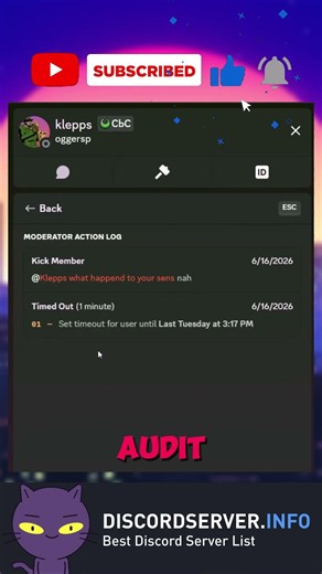 Discord Audit Log & Mod View Update #vtuber #discordapp #twitch #discordguide #discord #discordtips