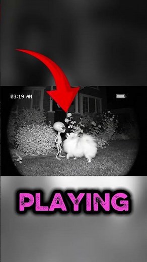 CCTV Captures Shocking Moment: Alien Caught Playing With Dog Before It Runs Away