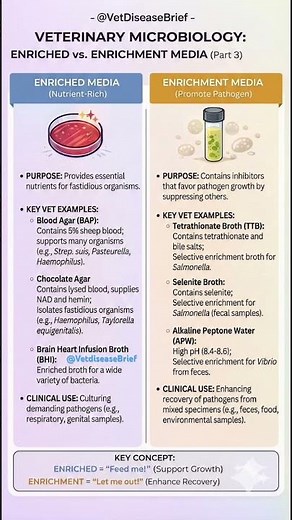 Enriched vs. Enrichment Media Explained | Vet Microbiology