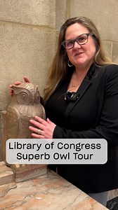 12K views · 34 reactions | We ❤️ our John Adams Building owls, so...