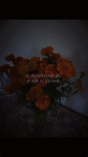 brendacruz1877 (@brendtha8)’s videos with sonido original - brendacruz1877