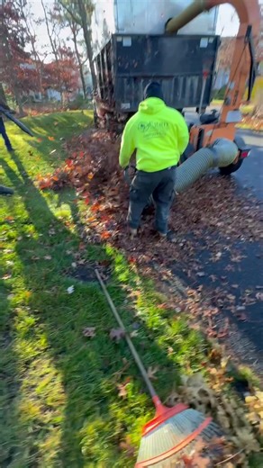 1K views · 1.2K reactions | Don’t wait ‘til your leaves hit the...