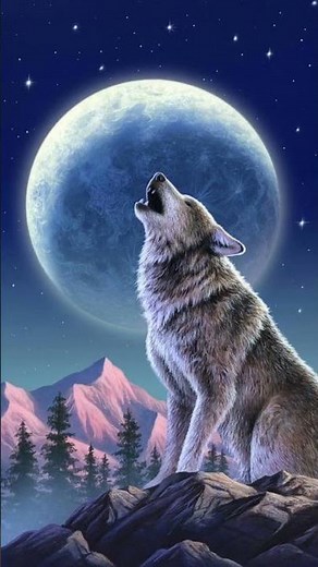 Wolf Howling | #wolf #wolves #howling