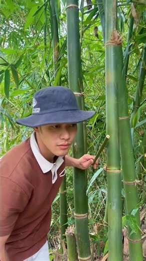 Survival Skills: How to Get Water from a BAMBOO Tree 💧💧#ohd #survival #camping #bushcraft #skills