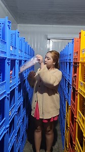 🥩🐔 MEATS MO BA KAMI, mga Ka-Suki! 🙌 Namiss ka rin namin! Pork at Chicken are back for your next ulam or handaan! 🍳🍗 Order na bago mag cut-off mamayang 7PM mga suki!💚 📌 FREE DELIVERY for ₱1000 orders! 🛒 Download the SukiGrocer App: https://sarisuki-alternate.app.link/Sarisuki-App #SukiGrocer #BackInStock #FreshMeat #FarmToTable #supportlocalsg | Sarisuki