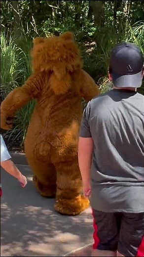 Meeting Brother Bear Kenai Rare Meet and Greet in the Animal Kingdom at Disney World